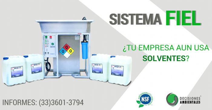Sistema FIEL